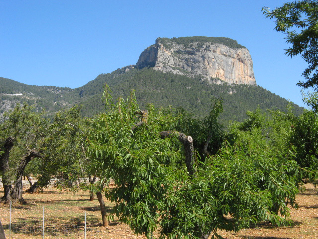 Puig d'Alaró